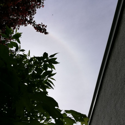 Halo