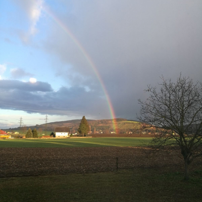 Regenbogen