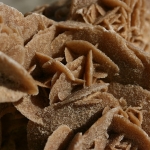 Desert rose (en) | Sandrose (de)