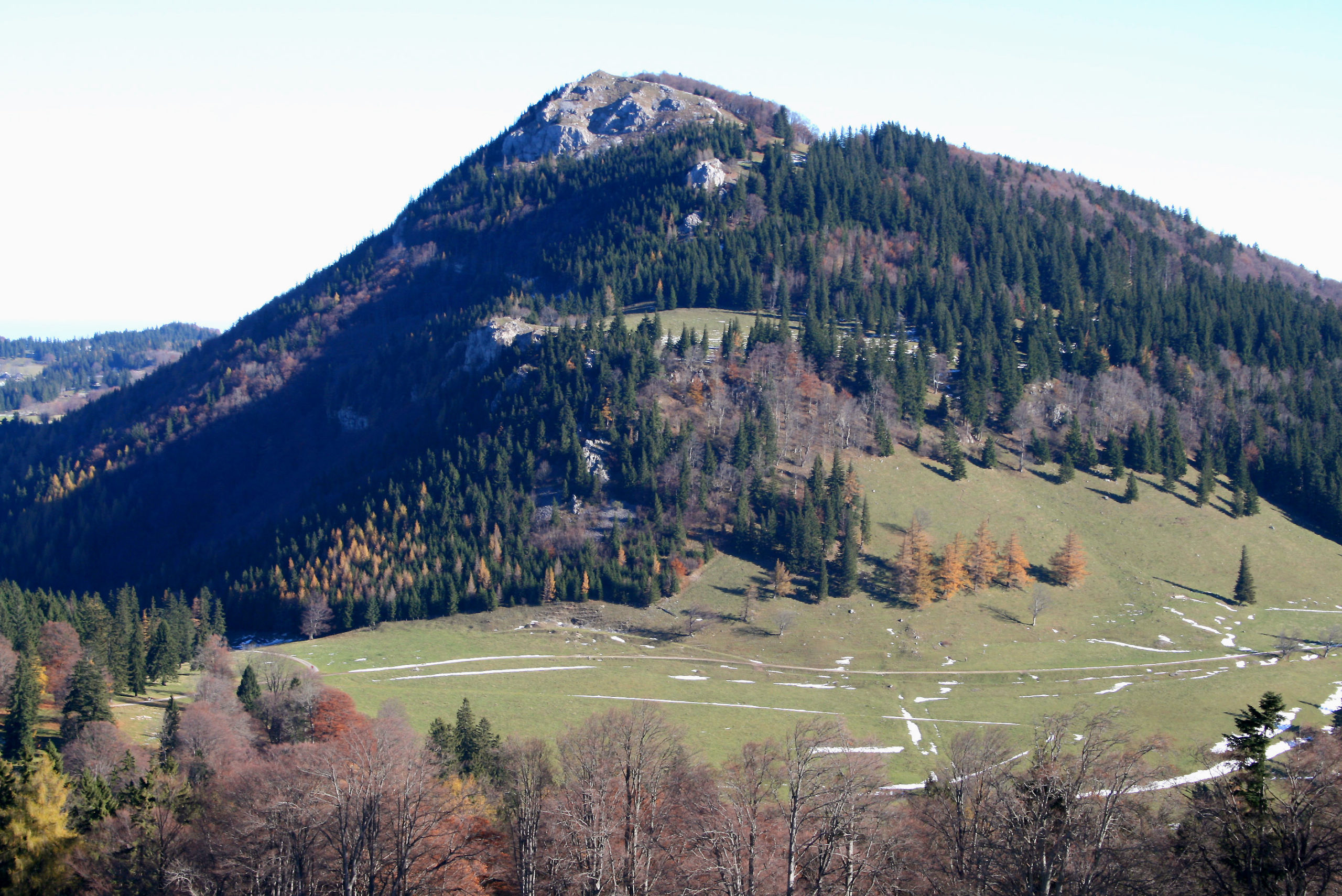 Ebenwaldhöhe